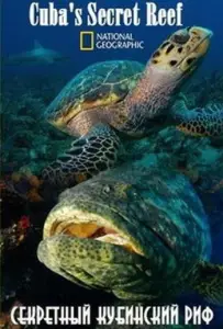 National Geographic. Секретный кубинский риф (фильм 2015)