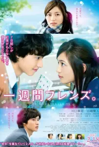Друзья на одну неделю (фильм 2017)