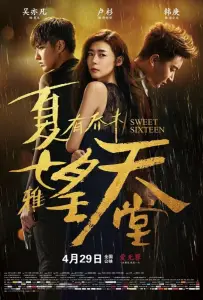 Сладкие шестнадцать (фильм 2016)