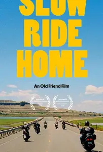 Долгий путь домой (фильм 2020)