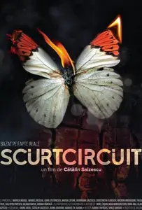 Короткое замыкание (фильм 2017)