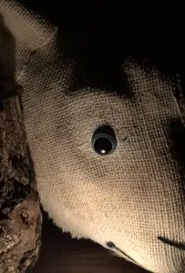 История Марии (фильм 2018)