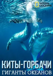 Киты-горбачи: гиганты океанов (фильм 2009)