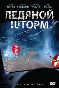 Ледяной шторм (фильм 2009)