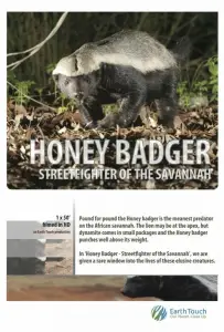 Жизнь одного медоеда (фильм 2013)