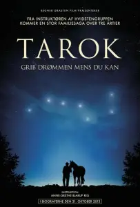 Поймать мечту (фильм 2013)